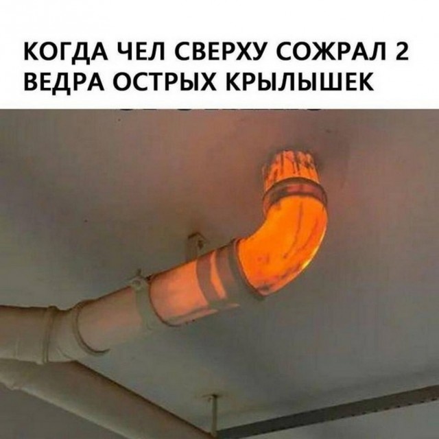 Веселые картики во вторник 29.10