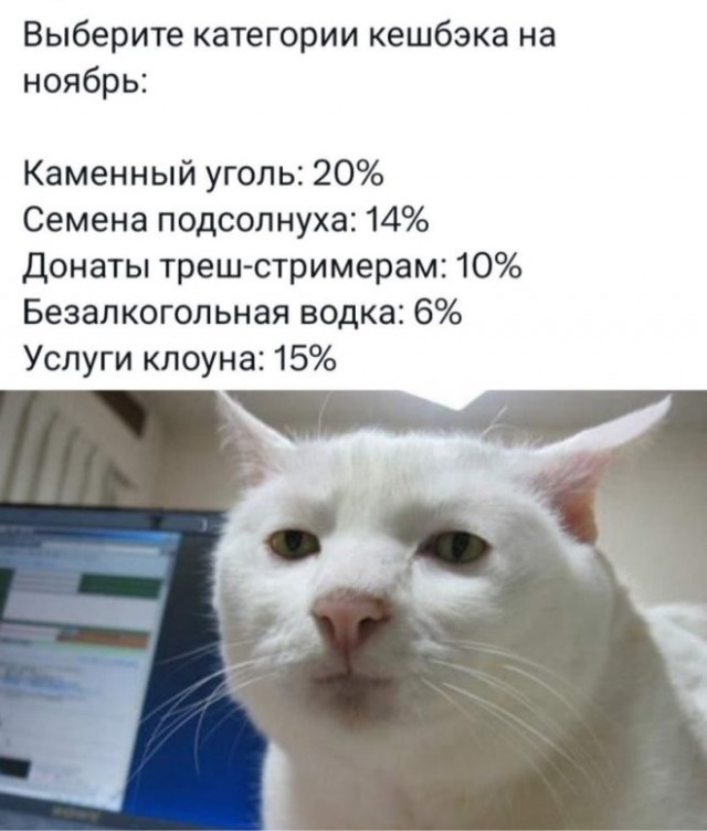 Веселые картинки к понедельнику (18.11)