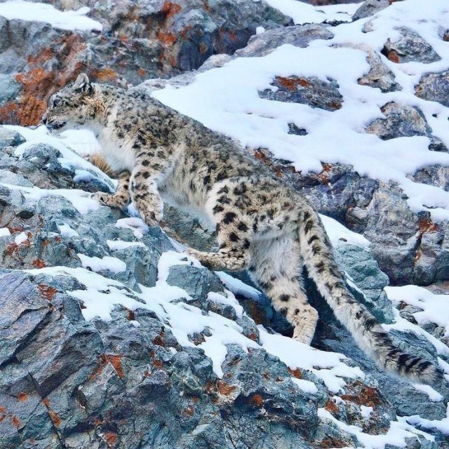 Маам, пошли завтракать