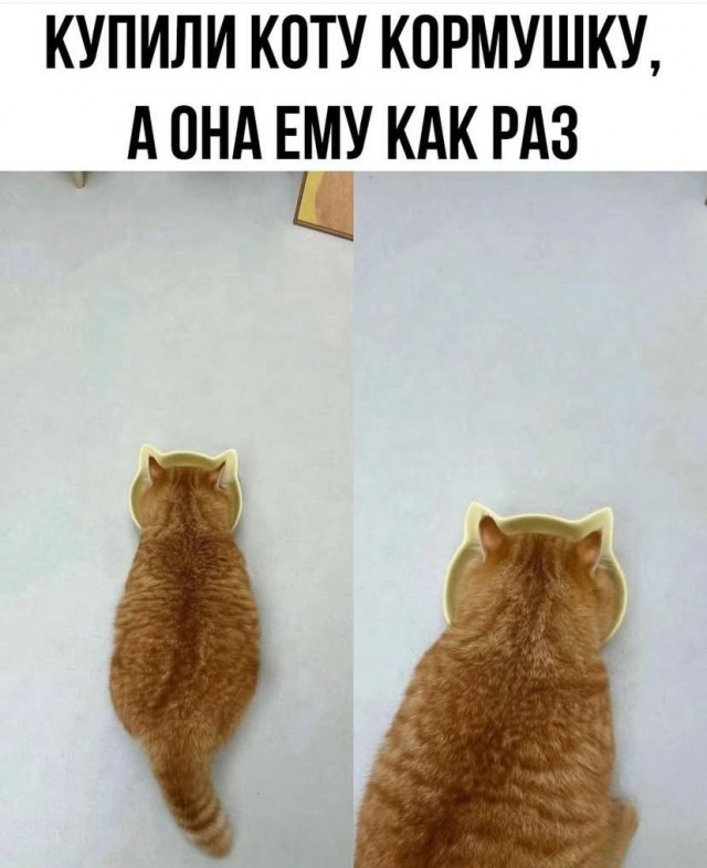 Так себе картинки 15.01.25