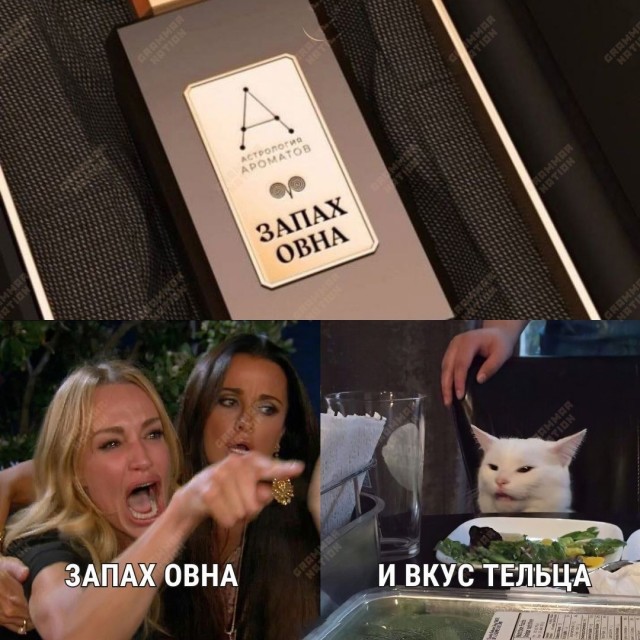 Весёлый полтишок 27.02.2025