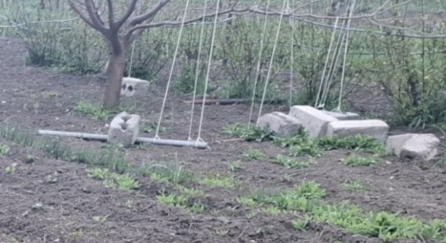 Знаете что такое маразм?