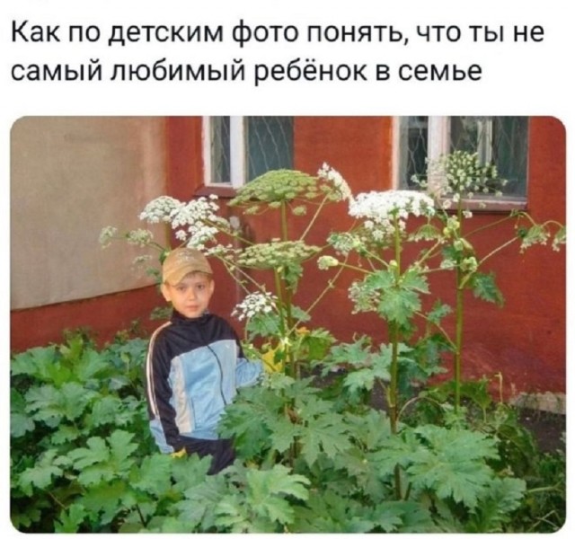 Так себе картинки 23.05.25