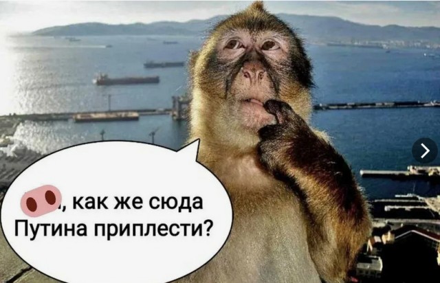 Израиль начал мобилизацию десятков тысяч резервистов