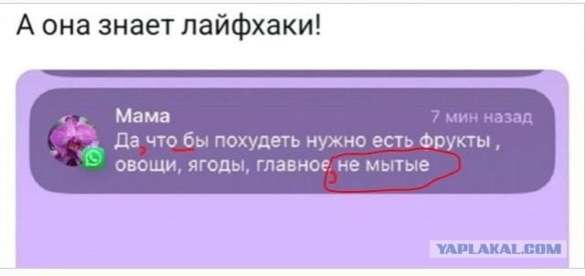 Картинки для деградации 32 (разной степени свежести)