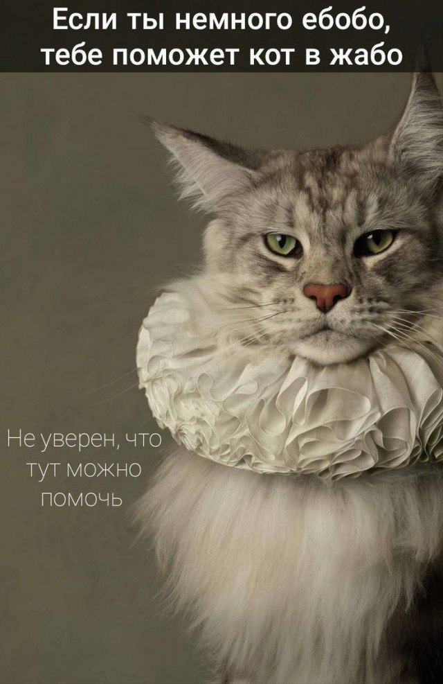 Так себе картинки 14.10.25
