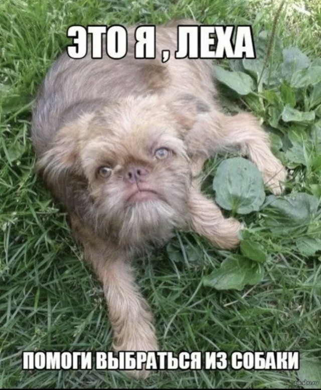 А вы одушевляете свой транспорт?