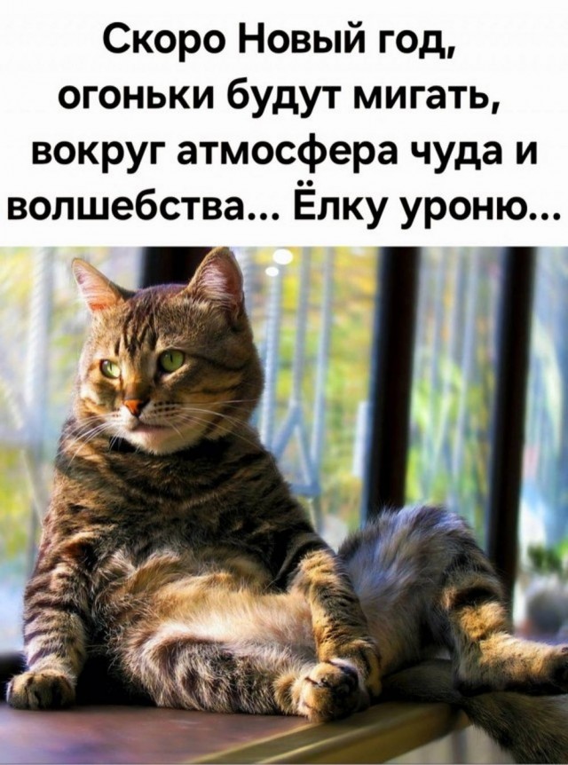 Картинки для деградации 110 (разной степени свежести)