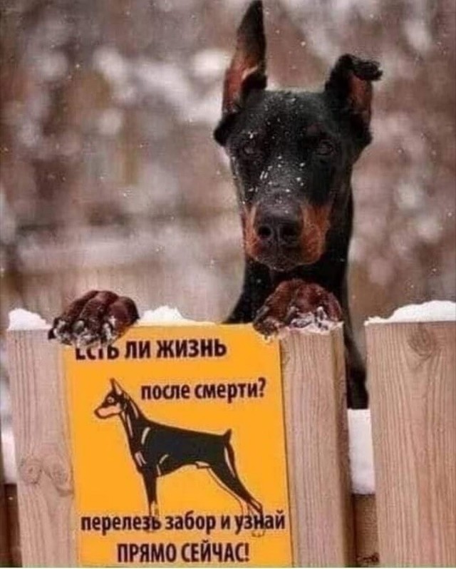 Понедельника картинки