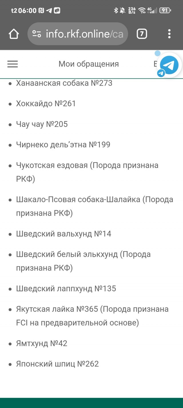 Так выглядит «шалайка» или «шабака»