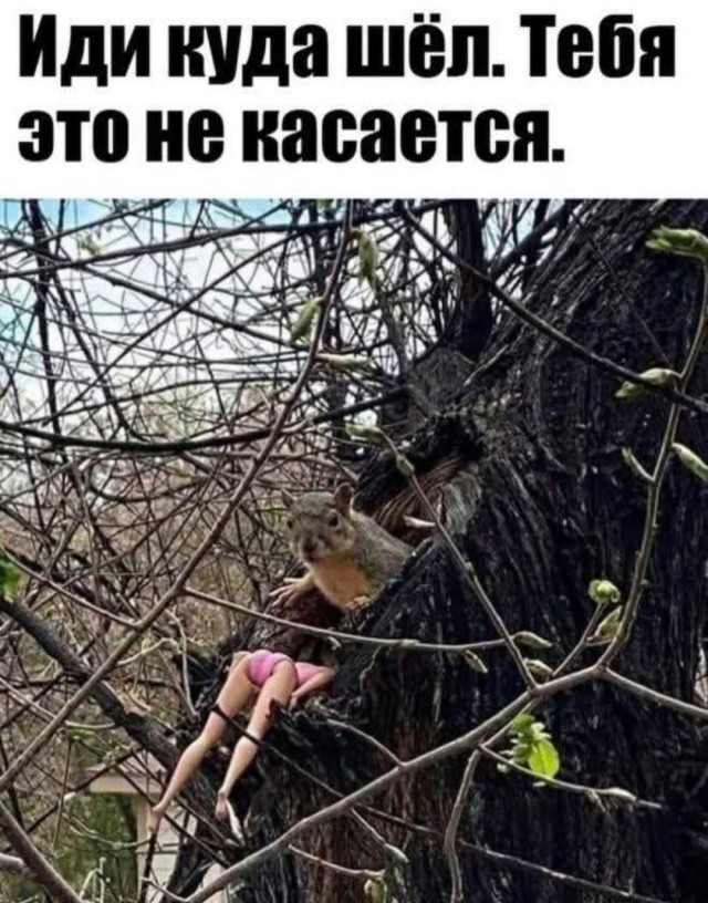 Немного картинок разной степени новизны и адекватности