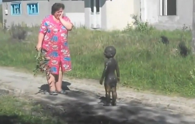 «Вижу цель, не вижу препятствий»