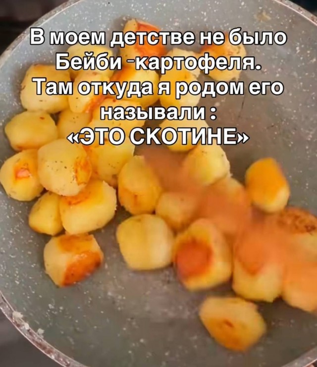 Картинки для деградации 207 (разной степени свежести)