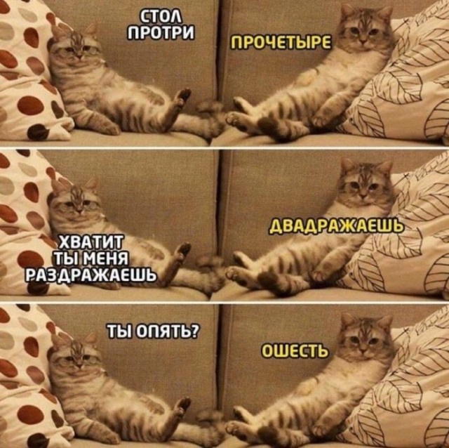 Картиночки, баянчики 18 июня