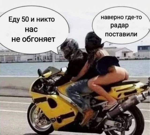 Веселые картинки в маленькую пятницу (05.08)