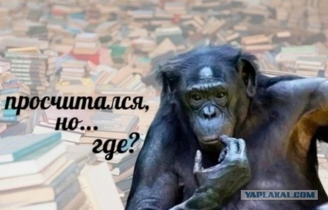 Идеальный сосед⁠⁠