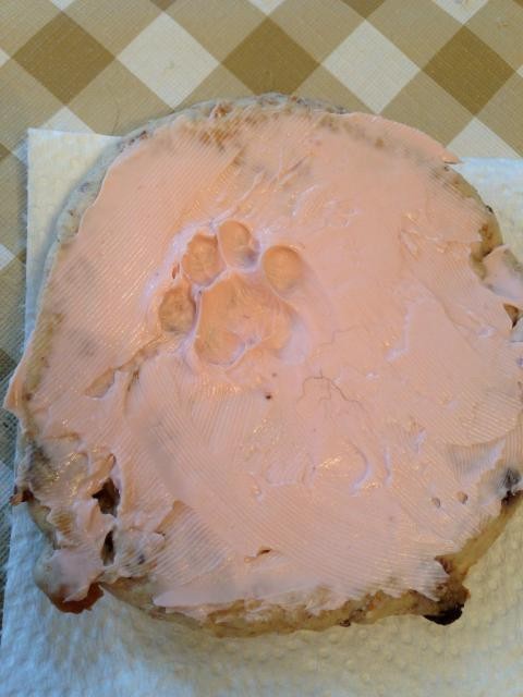 Стоило отвернуться на 10 секунд.