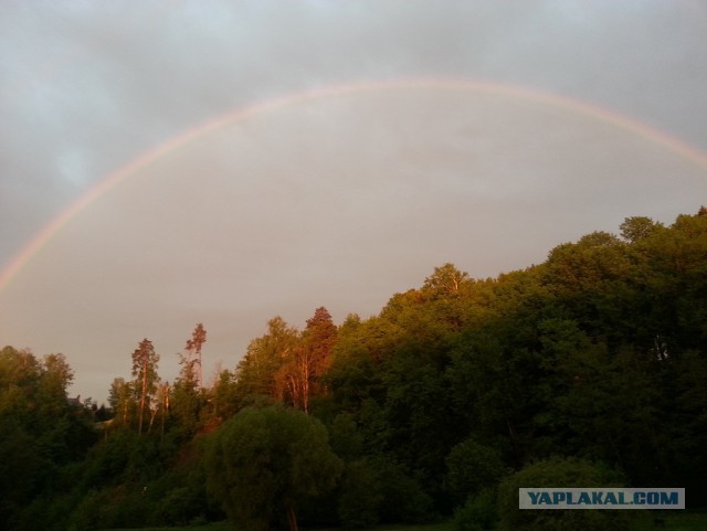 Красота природы не зависит от....