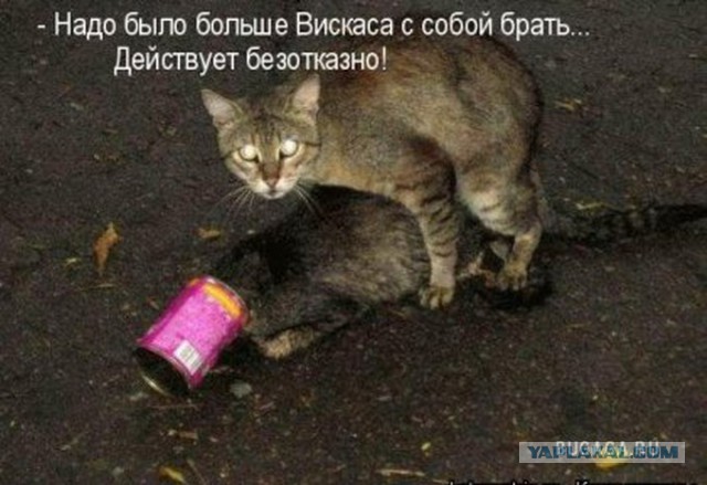 Яценюк заявил о банкротстве Украины