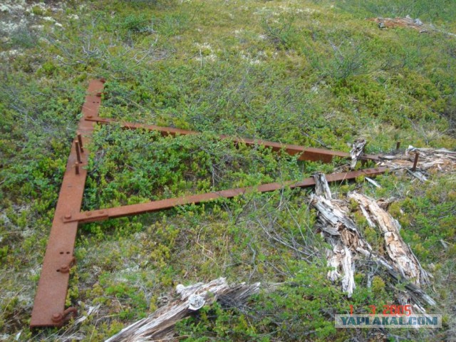 Отчет Банды маргиналов или трэш на Северах
