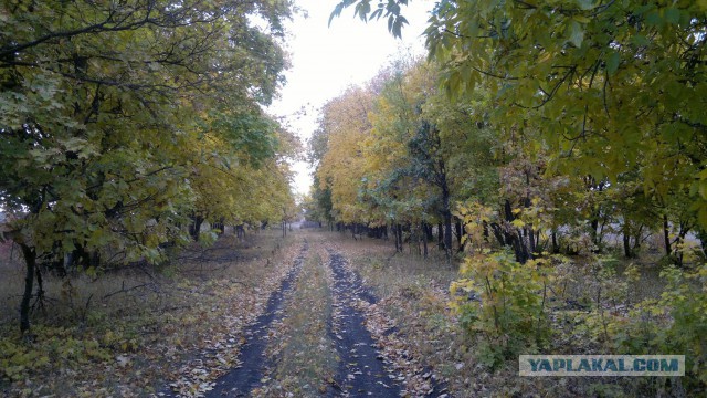 Люблю свой кусочек Рая на земле...