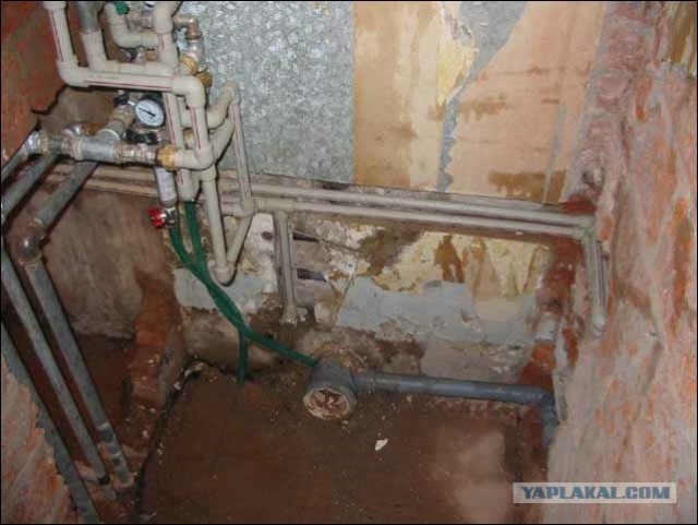 Зашел на кухню...