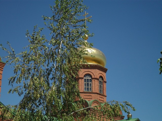 Задолбала политика!