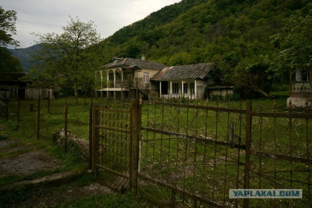 Абхазия, пансионат "Самшитовая роща"