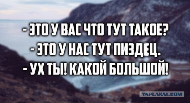 Подборка смешных и забавных фото