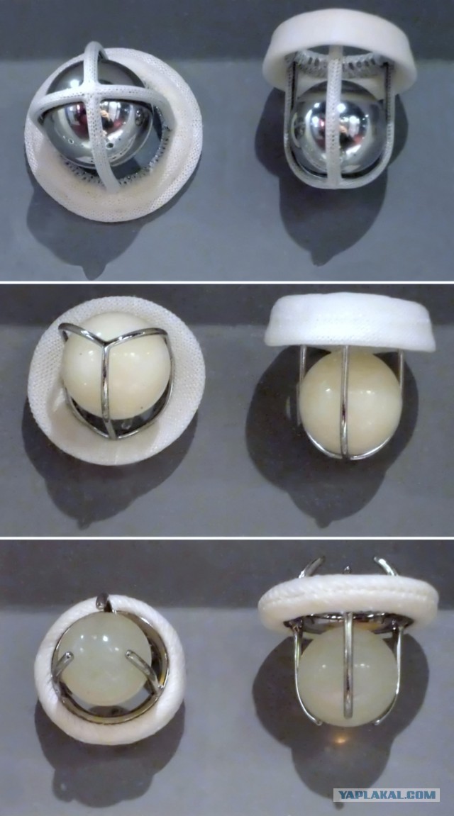 У меня сегодня ГОДОВЩИНА!