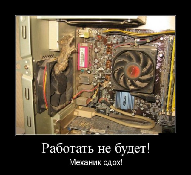 Весёлые картинки в чёрной рамке с просторов....