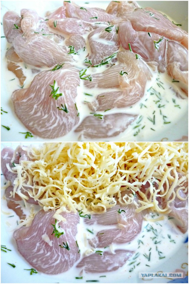 Психокулинария. День открытых дверей.