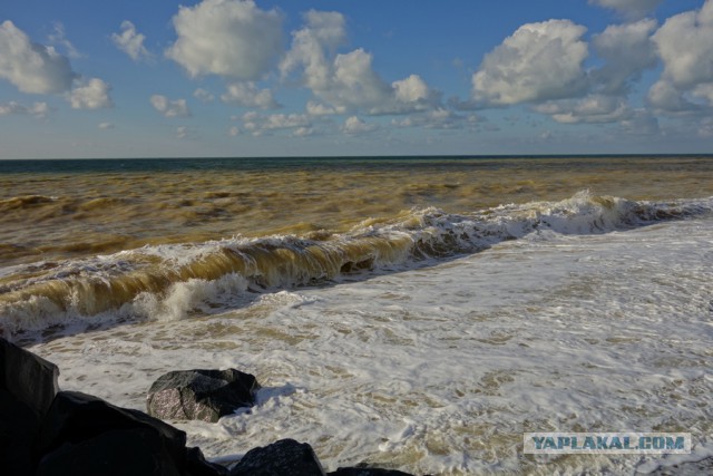 В Крыму Черное море стало желтым