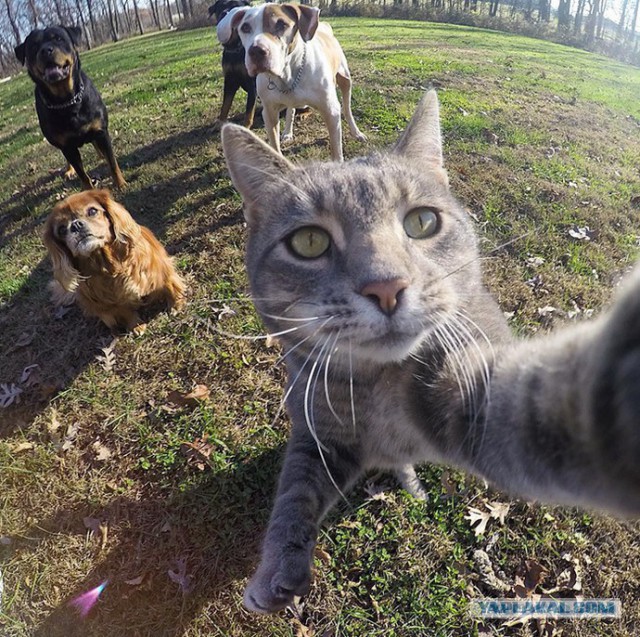 Вот такие дела...