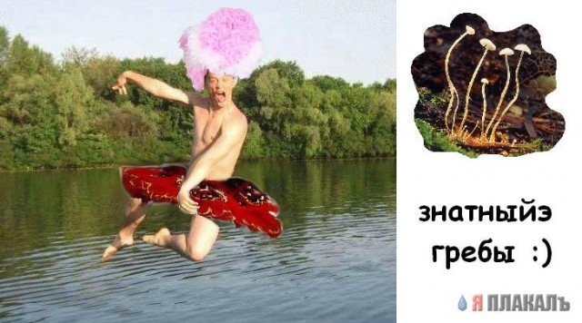 Фотожаба: Перед купанием