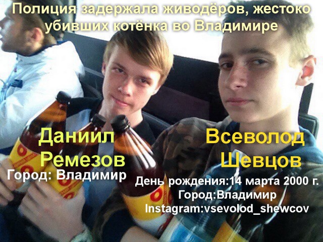 Во Владимире подростки сняли на видео жестокое убийство котёнка