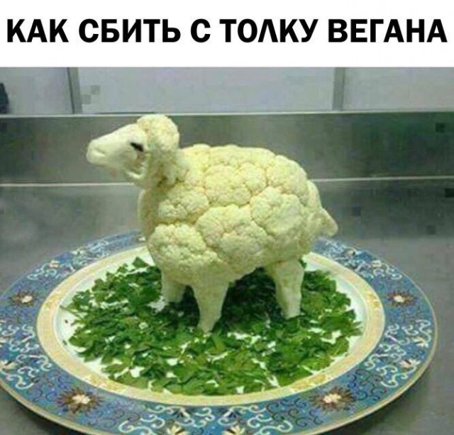 Упоротая пятиминутка