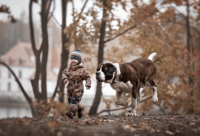 Мы с лучшим другом: фотографии детей и их больших собак