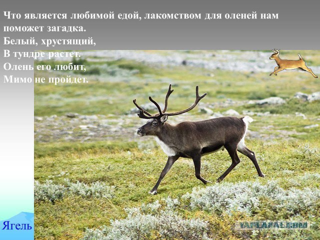 Школьные войны в Якутске. Ученик сорвал урок, напав на преподавателя
