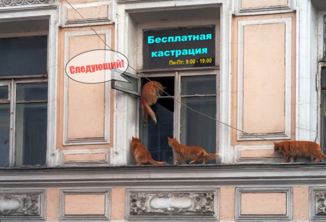 Деградации пост