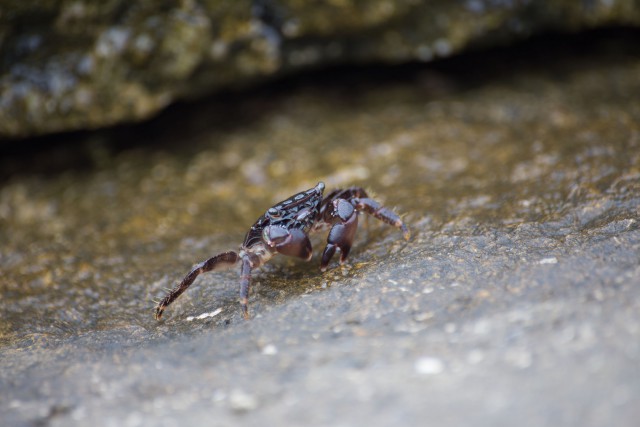 Просто Природа