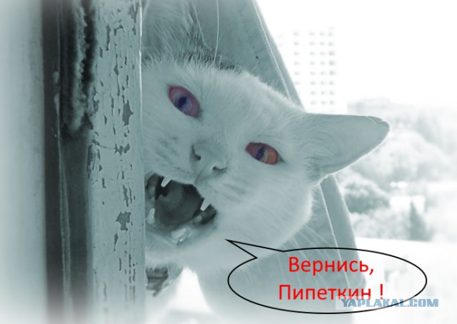 Миллионер VS Миллиардер