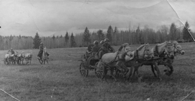 История в фотографиях
