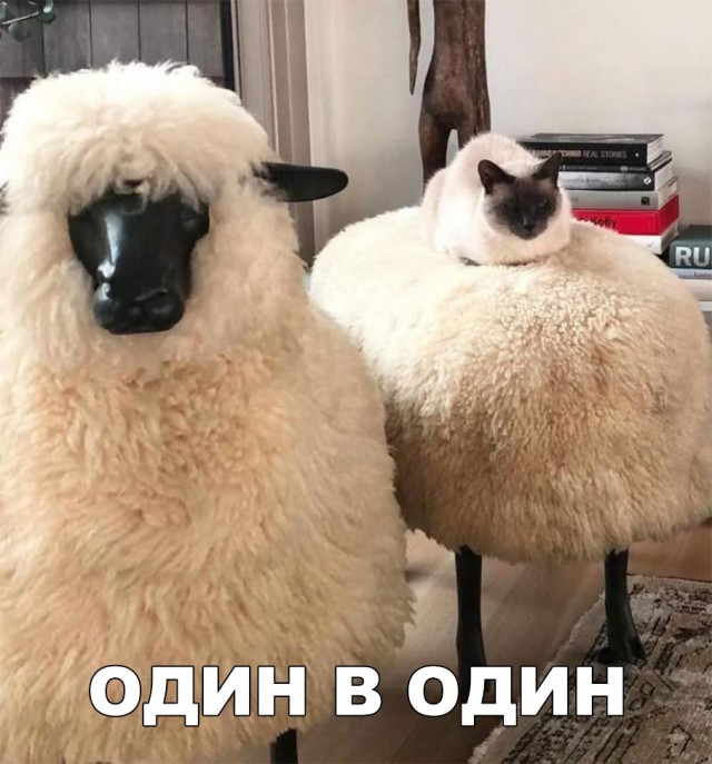 Немного милоты