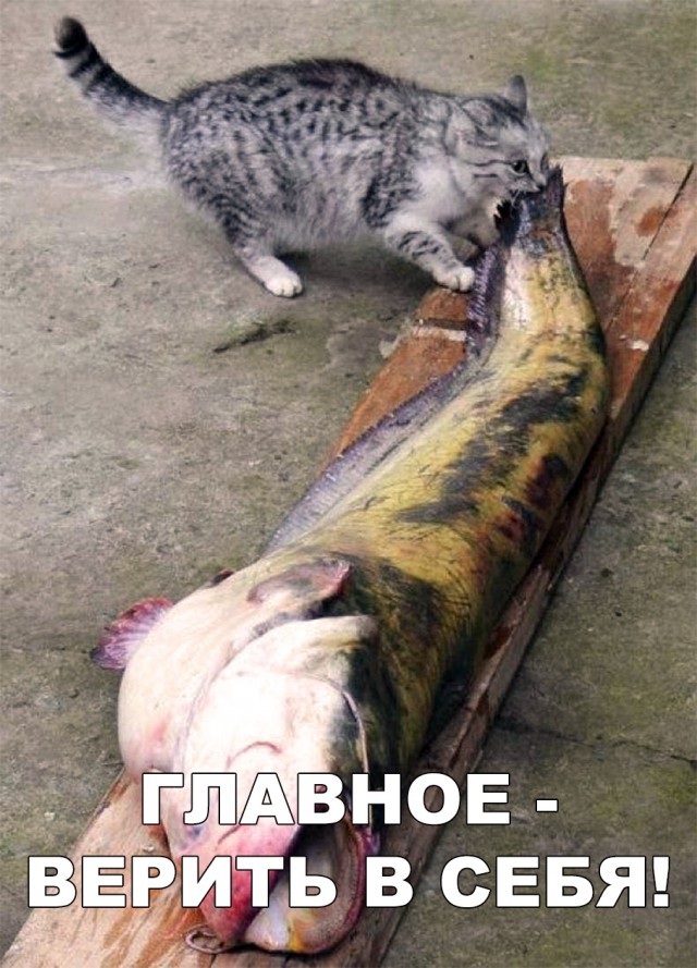 Нестандартный юмор