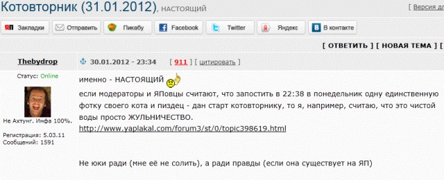 Котовторник (31.01.2012)