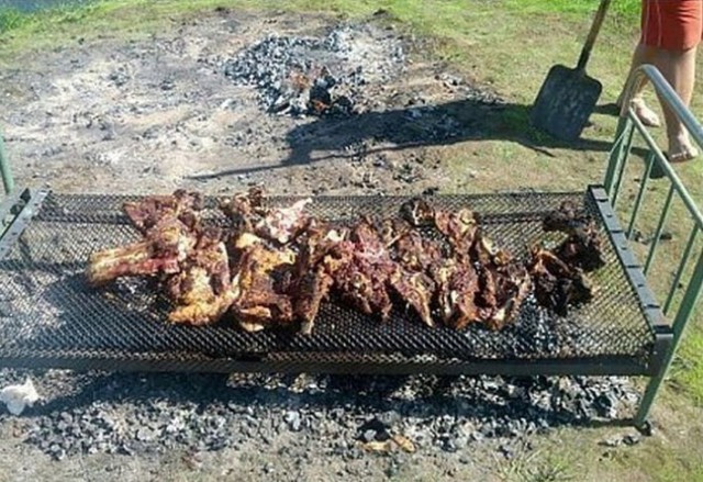 Очередной sous-vide своими руками, версия 100500