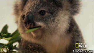 Хватит жрать на ночь.