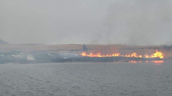 Площадь лесных пожаров в Сибири выросла до 1,56 млн га