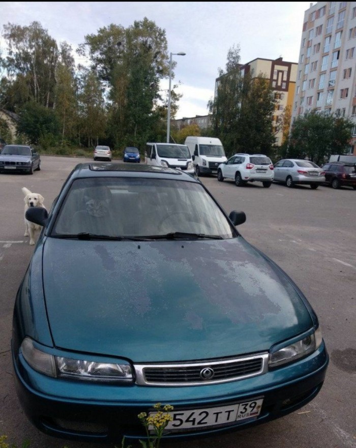 Подлый трус...